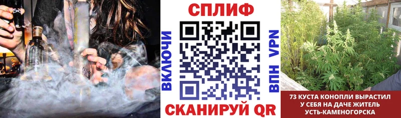 Магазины продажи наркотиков Алупка Каннабис  COCAIN  Гашиш  Меф 