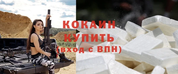 шишки Майский