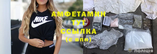 шишки Майский