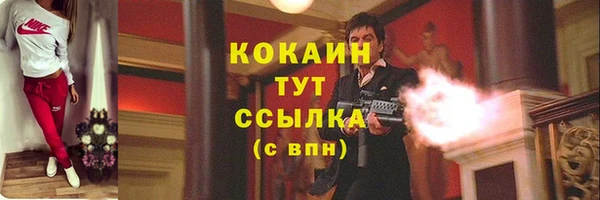 PSILOCYBIN Магас