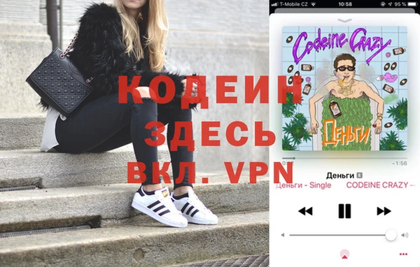 шишки Майский