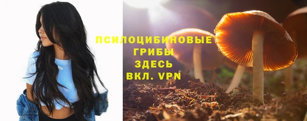 шишки Майский