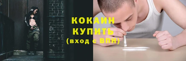 PSILOCYBIN Магас