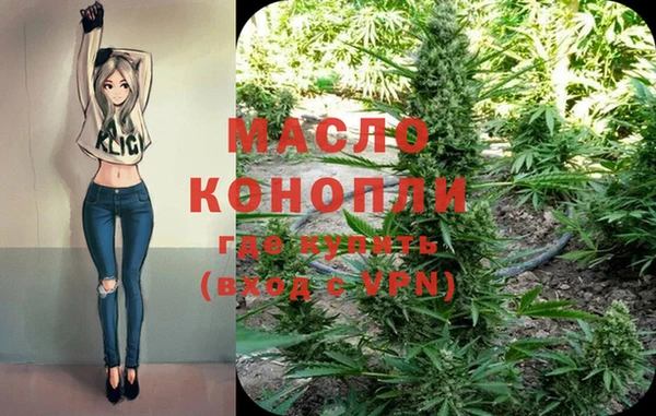 гашик Липки