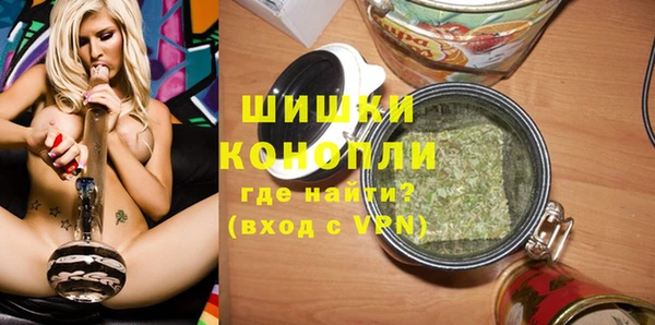 PSILOCYBIN Магас