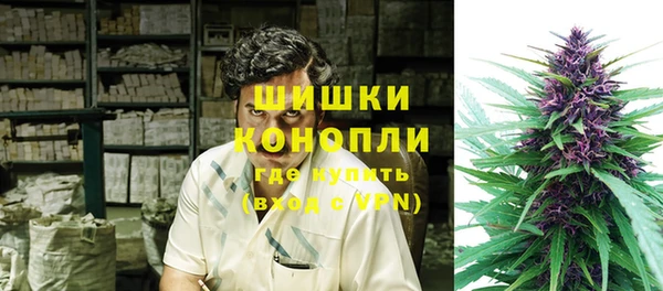 PSILOCYBIN Магас