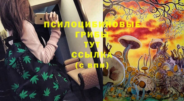 гидра Магадан