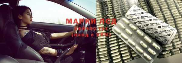 шишки Майский