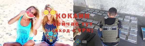 PSILOCYBIN Магас